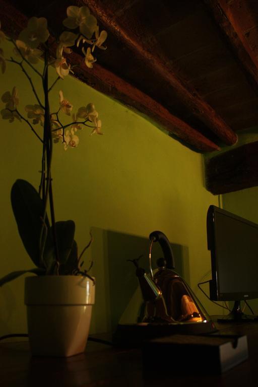 B&B44 Amelia Cameră foto